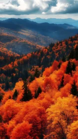 Autumn mountain forest glows with dense crimson foliage.