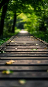 Wooden boardwalk recedes into lush green forest tunnel.