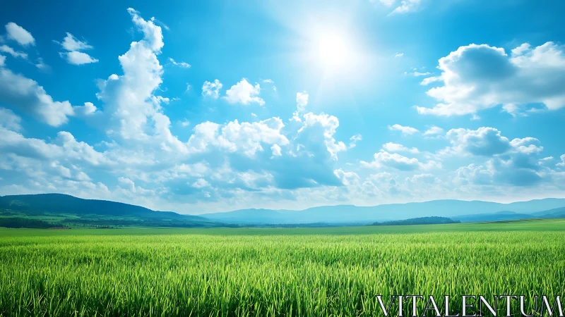 Sunlit green meadow under expansive blue clouded sky.