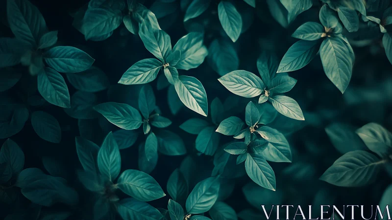 Teal-toned foliage cluster with cinematic shallow depth of field.