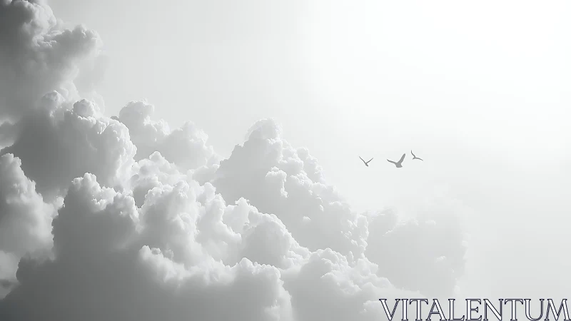 Soft white clouds and flying birds in bright sky scene