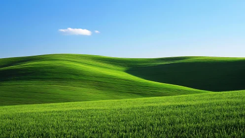 Undulating green hillside under clear blue sky with single cloud