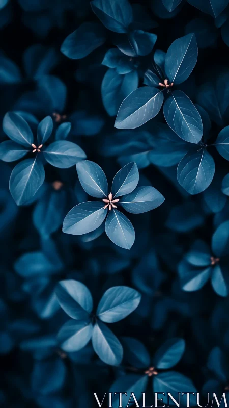 Close-up of blue-toned foliage with small central buds.