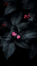 Butterfly with pink wings on dark leaves in low light.
