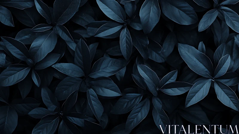 Low-key monochrome foliage pattern with overlapping broad leaves