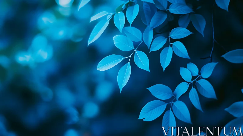 Blue-toned branch with sharply focused leaves dominates frame