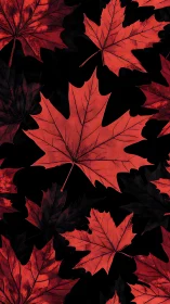 Red maple leaves are arranged over a dense black background