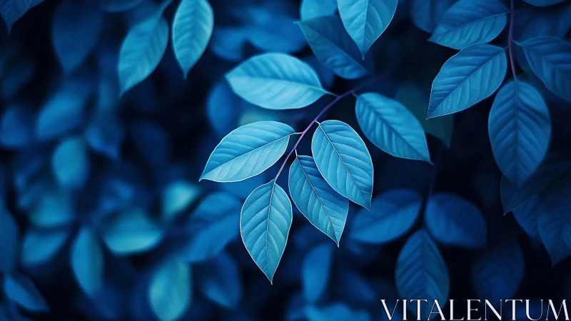 Blue foliage cluster glows softly against deep blurred background