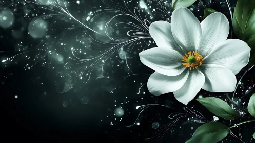 White Flower Against Luminous Dark Background.