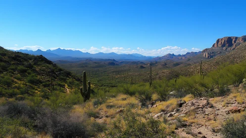 Sunlit desert valley stretches toward distant blue mountains