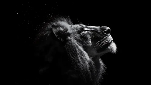 Starlit lion profile carved from shadow and silver light.