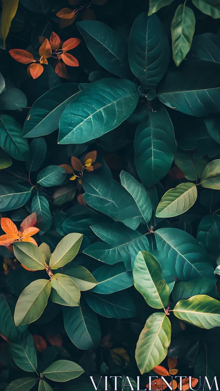 Dense foliage study with teal-green leaves and warm color contrast