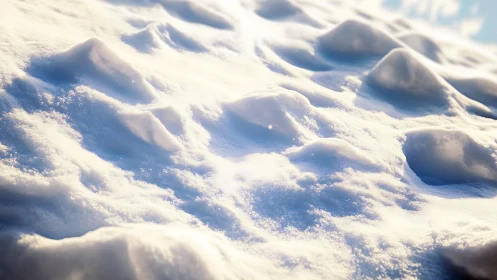 Sunlit granular snow surface with microtopography and soft bokeh