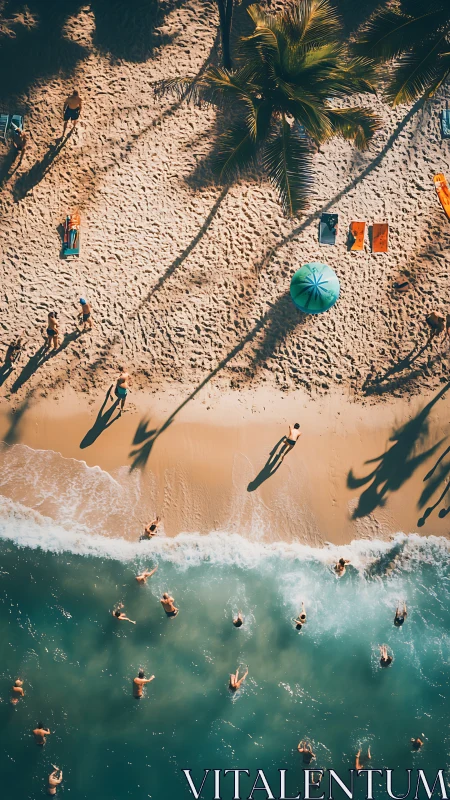 Sunlit beach choreography turns swimmers into tiny constellations