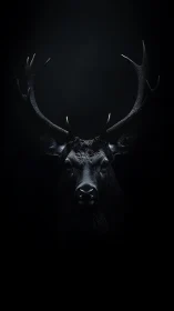 Black stag head with antlers on dark minimal background.