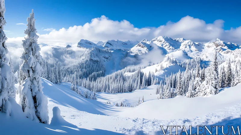 Snowbound alpine valley under clear blue winter sky.