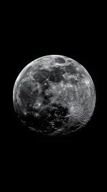 Lunar surface detail under stark monochrome illumination.