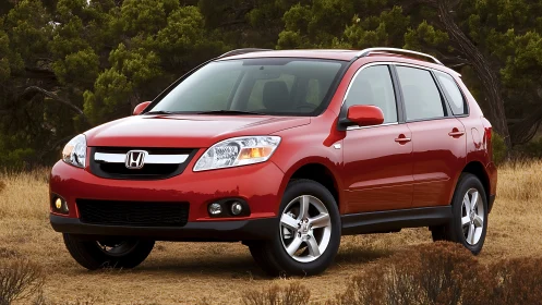 Red compact SUV parked on dry grassland near trees.