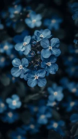 Azure Blooms Dance in Twilight Darkness.