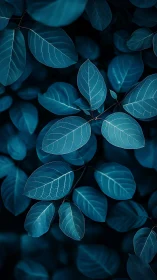 Nocturnal cyan foliage forms a rhythmic, vein-lit botanical field