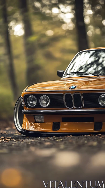 Low-slung classic BMW coupe with bokeh woodland backdrop.