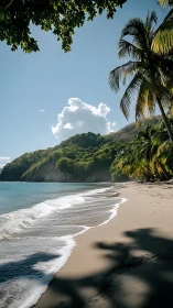 Tropical Cove Beach with Verdant Headland and Crystalline Waters
