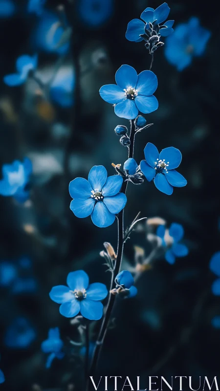 Blue Wildflower Stem with Five-Petaled Blooms