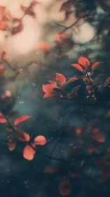 Scarlet leaves glow softly against a dreamy forest dusk