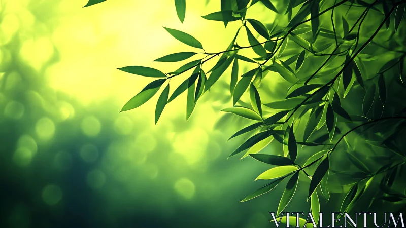 Sunlit green leaves against soft abstract bokeh background.