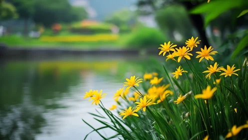 Macro botanical composition: yellow flowering plants along waterscape.