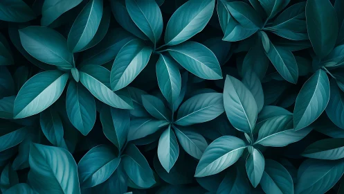 Dense overlapping teal foliage forms a uniform leaf surface