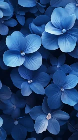 Blue Hydrangea Blooms Clustered Against Dark Background