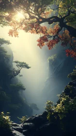 Golden morning light gently pours into a quiet forest gorge