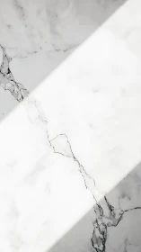 Marble daydream under a drifting blade of quiet light.