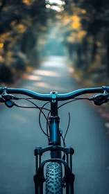 Blue bicycle handlebar and frame viewed from saddle on urban path