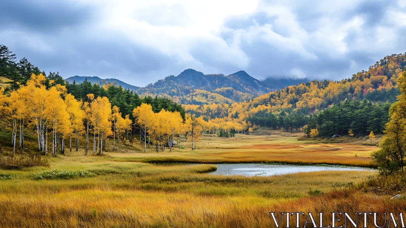 Autumn mountain valley with pond, birch trees and dense forest.