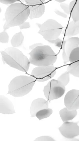 High key macro foliage with translucent venation mapping.