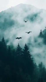 Fog-draped pines cradle ravens tracing silent sky paths