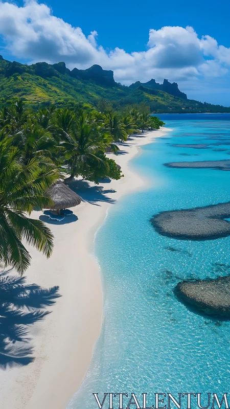 Tropical Lagoon Shoreline: Verdant Peaks, Turquoise Waters, Palm Fronds.