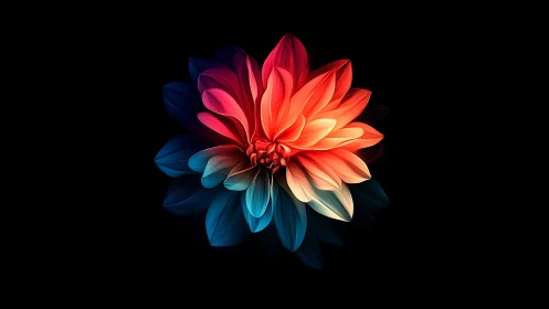 Radiant Gradient Bloom: Nature's Electric Color Dance.