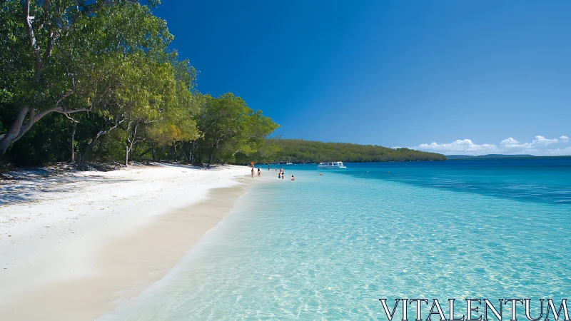 Tropical Paradise Beach with Crystalline Waters.