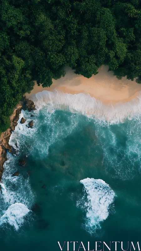 Vertical aerial view shows dense forest, beach and surf