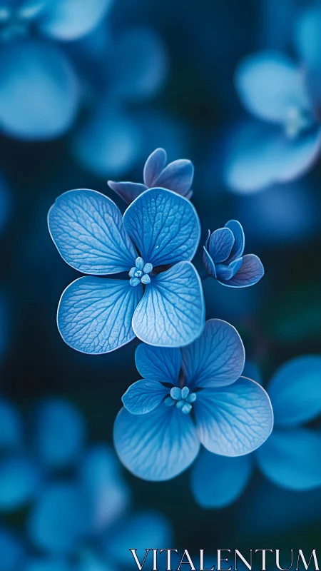 Sapphire Petals Dance in Cerulean Light