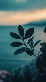 Coastal foliage silhouette against teal sea and blurred dusk sky