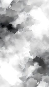Monochrome cloudlike abstraction with soft tonal gradients.