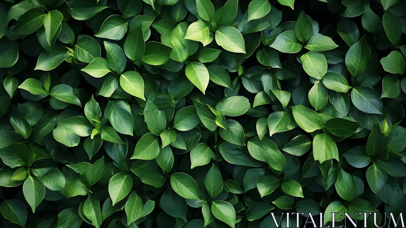 Dense green foliage forms a high-contrast botanical surface field