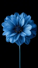 Blue Dahlia With Layered Petals Rendered in Photorealistic Detail