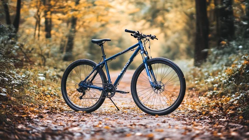 Blue hybrid bicycle poised on autumn leaf-covered trail.