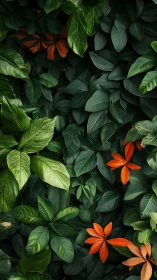 Dense overlapping foliage displays contrasting leaf structures