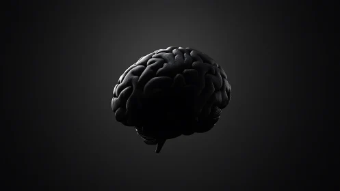 Midnight mindscape: obsidian brain in cinematic shadow.